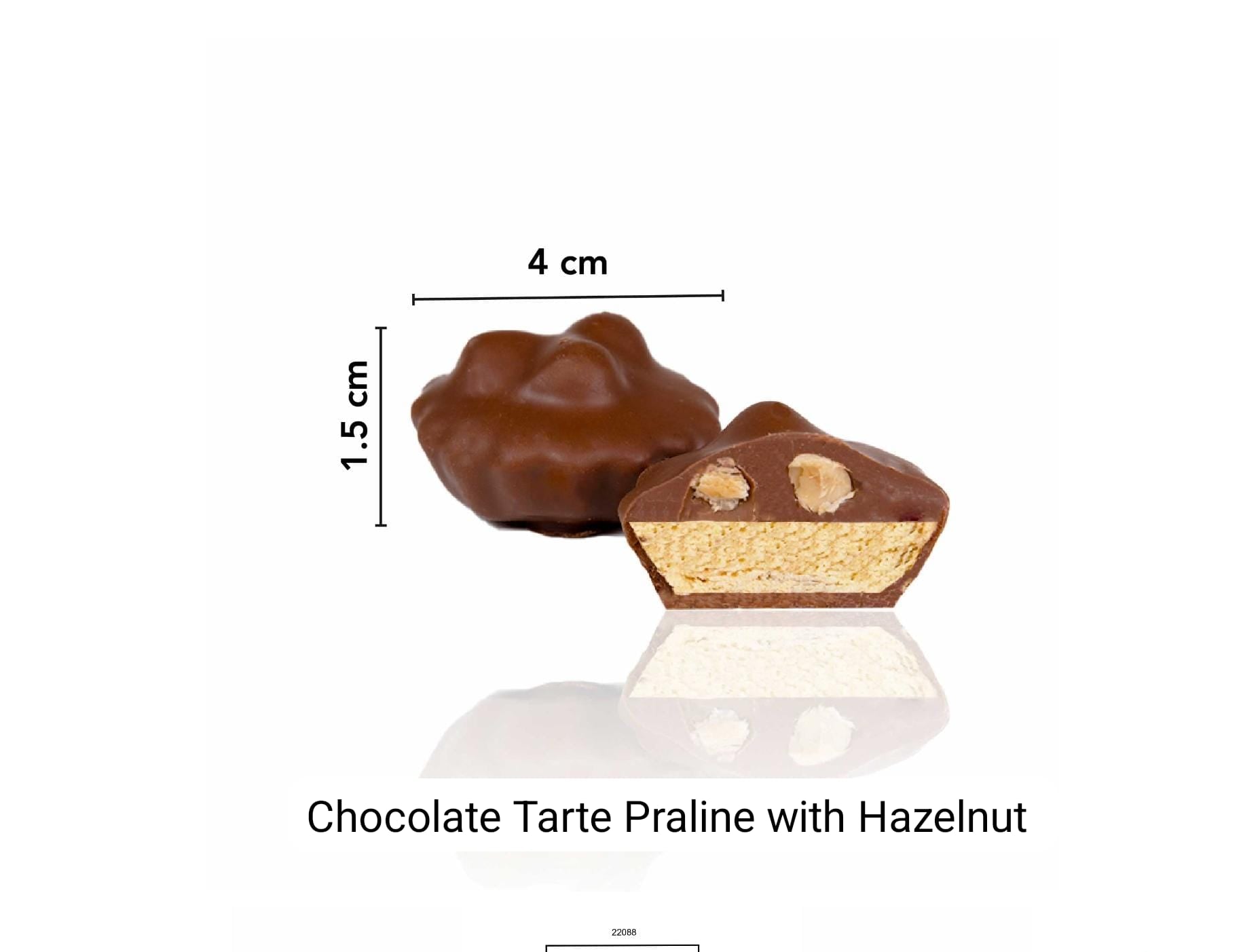 Chocolate Tarte Praline with Hazelnut